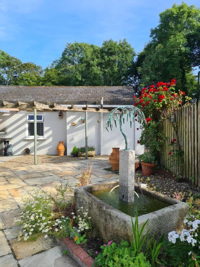 Wellingtonbridge Brookvale Bed & Breakfast エクステリア 写真